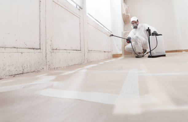 24/7 Emergency Basement Mold Remediation experts in Lehigh Acres, FL